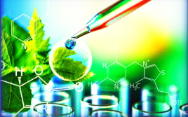 LaboratoriGreenH